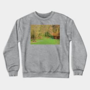 Picnic site Crewneck Sweatshirt